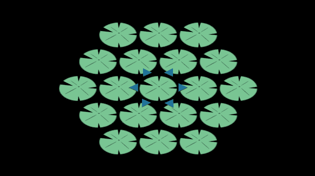 lilipads